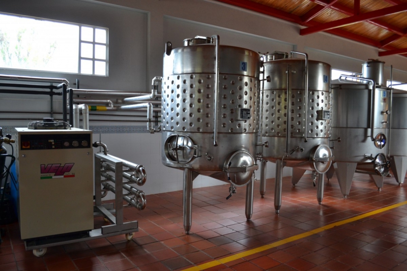 cave-EZE-min_wine_production_cantine_winery_drink_alcohol_vine_beverage-902036